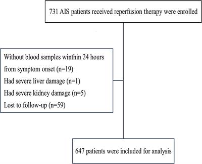 Association between neutrophil percentage-to-albumin ratio and 3-month functional outcome in acute ischemic stroke patients with reperfusion therapy